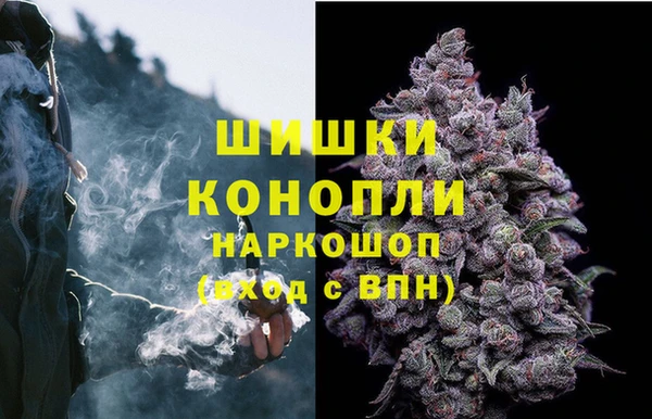спайс Абаза