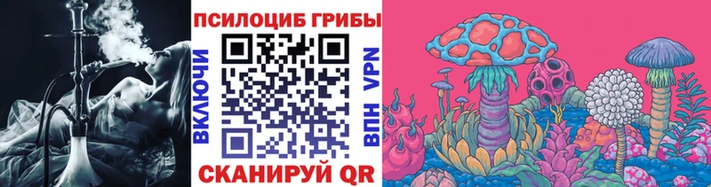 Псилоцибиновые грибы Psilocybe  где продают наркотики  Кимовск 