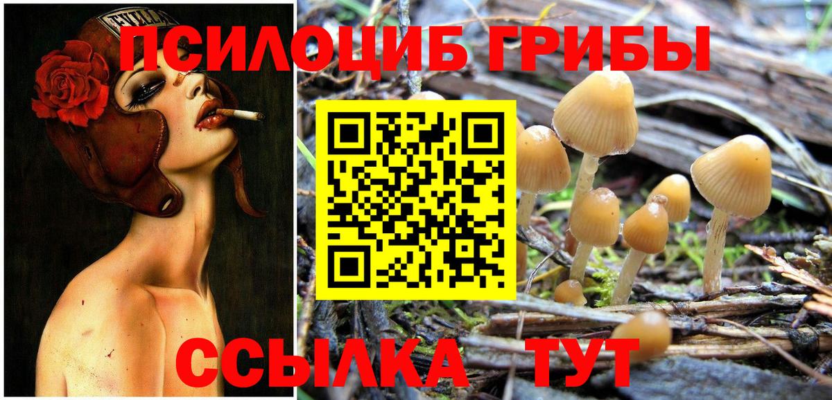 КОКАИН  Экстази  Кимовск  Меф кристаллы  Конопля  A-PVP СК   Вход с VPN 